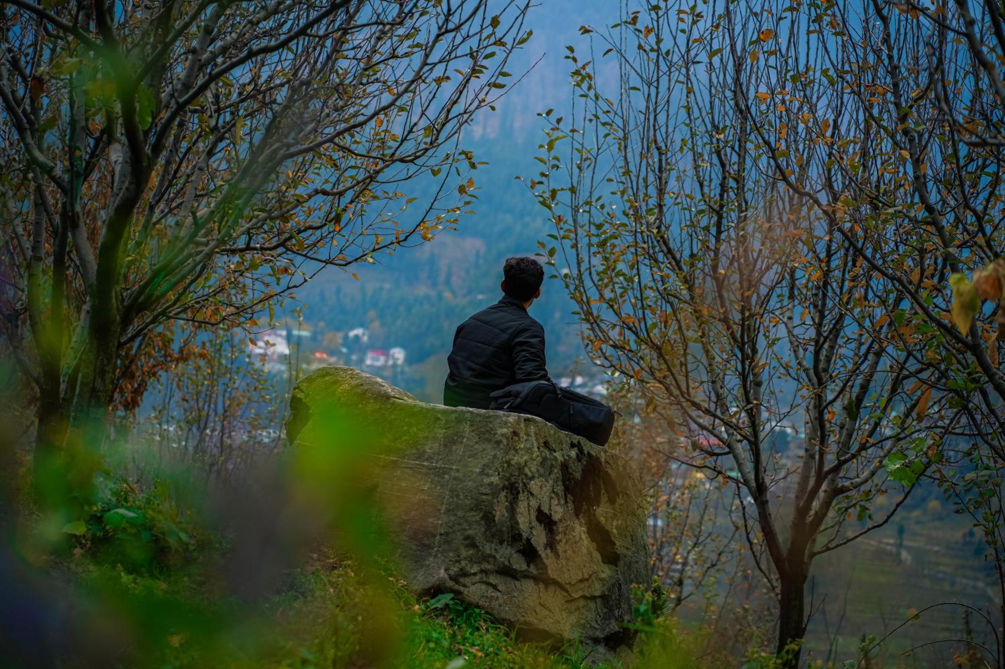 Yaarana Stay & Cafe, Vashisht, Manali Eksteriør billede